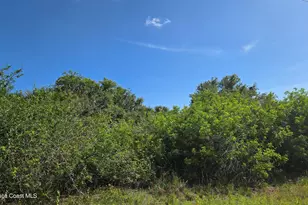 321 Buckskin St, Palm Bay, FL 32909 - Photo 1