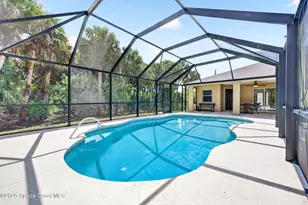 831 Owl Street SW, Palm Bay, FL 32908 - Photo 45