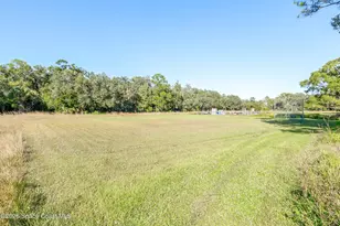 366 Ibis Ct, Melbourne Village, FL 32904 - Photo 49