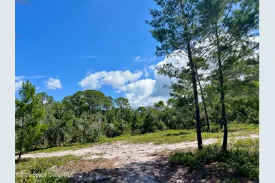 1142 Spangler Lane, Titusville, FL 32796 - Photo 11