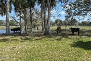 368 Stephenson Dr, Melbourne, FL 32904 - Photo 59