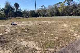 000 Route 1, Mims, FL 32754 - Photo 1