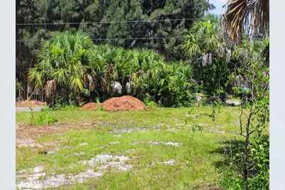 2859 Basil Avenue SW, Palm Bay, FL 32908 - Photo 3
