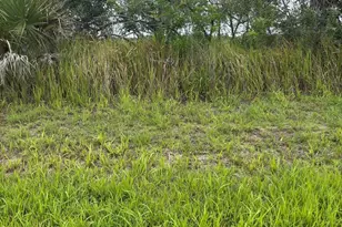 2387 SW Tarboro Terrace SW, Palm Bay, FL 32908 - Photo 1
