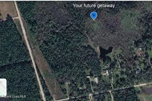 0 Unknown, Mims, FL 32754 - Photo 1