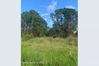 388 Dunlap Avenue SE, Palm Bay, FL 32909 - Photo 11