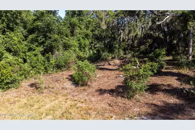 4785 Harrison Road, Mims, FL 32754 - Photo 29