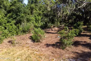 4785 Harrison Rd, Mims, FL 32754 - Photo 29