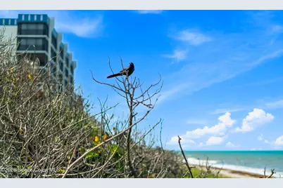 130 Roosevelt Avenue #107, Satellite Beach, FL 32937 - Photo 25