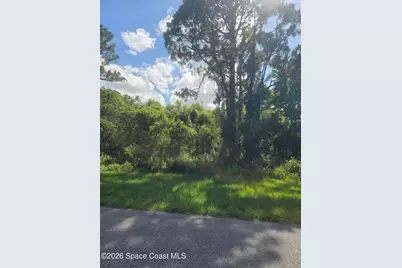 3906 Rambling Acres Drive, Titusville, FL 32780 - Photo 5
