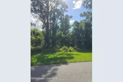 3906 Rambling Acres Drive, Titusville, FL 32780 - Photo 11