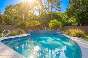 145 Nesbitt Street NE, Palm Bay, FL 32907 - Photo 27