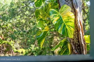 6214 Leeward Ln, Melbourne Beach, FL 32951 - Photo 85
