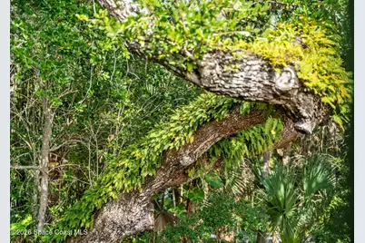 6214 Leeward Lane, Melbourne Beach, FL 32951 - Photo 23