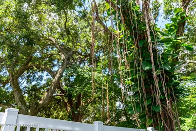 998 Ripley Terrace NE, Palm Bay, FL 32907 - Photo 61