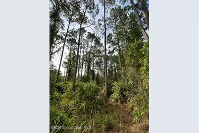 258 Krassner Drive NW, Palm Bay, FL 32907 - Photo 7
