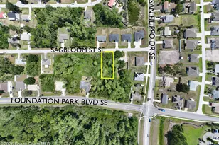 1317 Sagbloom St SE, Palm Bay, FL 32909 - Photo 1