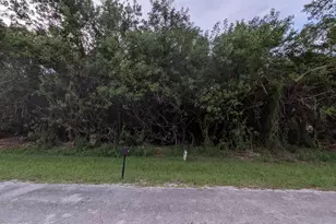 157 Abeto Terrace, Sebastian, FL 32958 - Photo 1