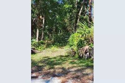 9581 Parker Drive, Micco, FL 32976 - Photo 3