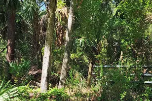 9581 Parker Dr, Micco, FL 32976 - Photo 11