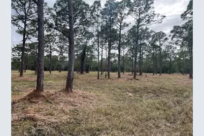 0000 Govan Avenue, Malabar, FL 32950 - Photo 1