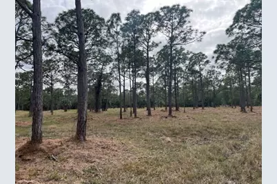 0000 Govan Avenue, Malabar, FL 32950 - Photo 3