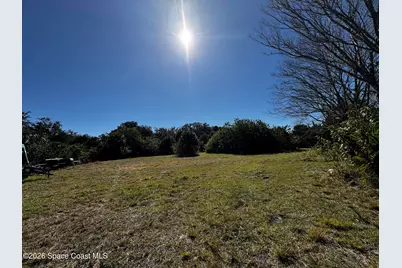 0 Grantline 10 Acres Road, Mims, FL 32754 - Photo 11