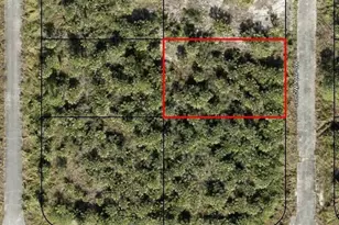 3390 Chowin Ave SW, Palm Bay, FL 32908 - Photo 1