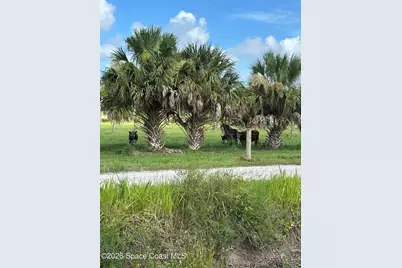 1475 Dalbora Road, Merritt Island, FL 32953 - Photo 11