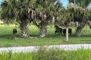 1475 Dalbora Rd, Merritt Island, FL 32953 - Photo 11