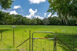 1140 Turnbull Grove Rd, Oak Hill, FL 32759 - Photo 67