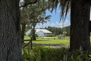 1140 Turnbull Grove Rd, Oak Hill, FL 32759 - Photo 71