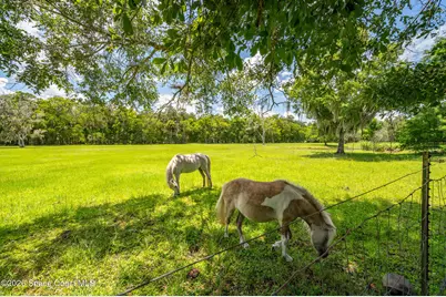 1140 Turnbull Grove Road, Oak Hill, FL 32759 - Photo 75