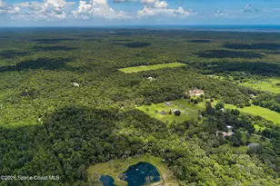 1140 Turnbull Grove Rd, Oak Hill, FL 32759 - Photo 69
