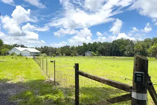 1140 Turnbull Grove Rd, Oak Hill, FL 32759 - Photo 61
