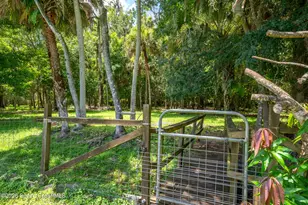 1140 Turnbull Grove Rd, Oak Hill, FL 32759 - Photo 61