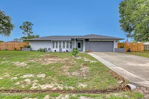 850 Haftez St NE, Palm Bay, FL 32907 - Photo 1