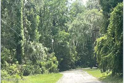 3323 NE 135th Street, Anthony, FL 32617 - Photo 5