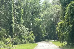 3323 NE 135th St, Anthony, FL 32617 - Photo 5