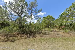 2814 Anjar Ave SW, Palm Bay, FL 32908 - Photo 1