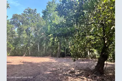 0 Carter Road, Mims, FL 32754 - Photo 5