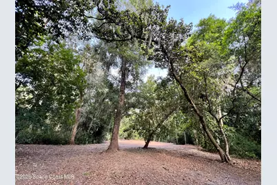 0 Carter Road, Mims, FL 32754 - Photo 19