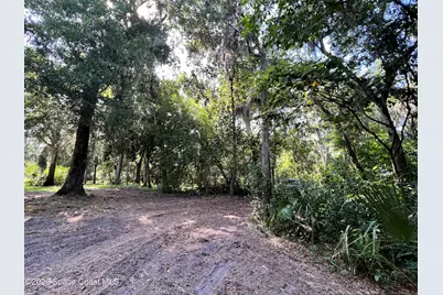 0 Carter Road, Mims, FL 32754 - Photo 13