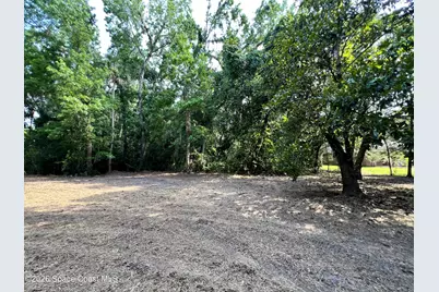 0 Carter Road, Mims, FL 32754 - Photo 7