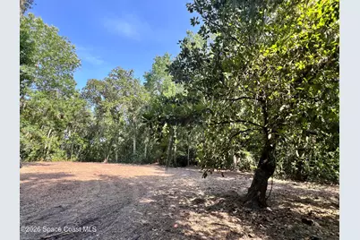 0 Carter Road, Mims, FL 32754 - Photo 3