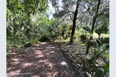 0 Carter Road, Mims, FL 32754 - Photo 25