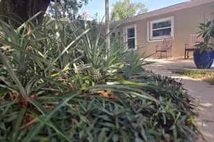 545 Heron Dr, Merritt Island, FL 32952 - Photo 45