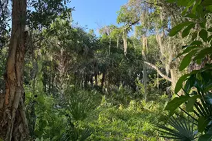 1838 Lemay Dr NE, Palm Bay, FL 32905 - Photo 1