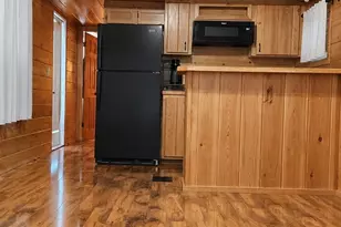 25091 NE 143rd Pl, Fort Mc Coy, FL 32134 - Photo 5
