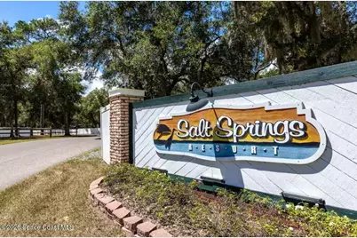 25091 NE 143rd Place, Fort Mc Coy, FL 32134 - Photo 13